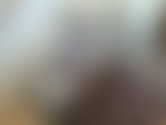 The First (And Last) Chapter.