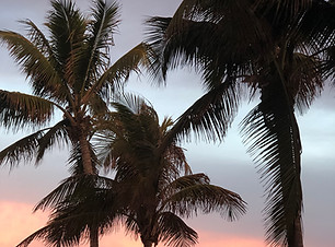 sunset in miami.JPEG