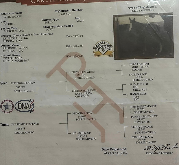 Dont know which one this is.jpg