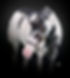 image0 (3).jpeg