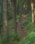 Vagamon ULtrail
