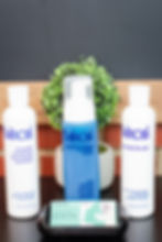 Style Easy Consulting