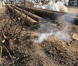 Smoldering Tree stump needs to be ground