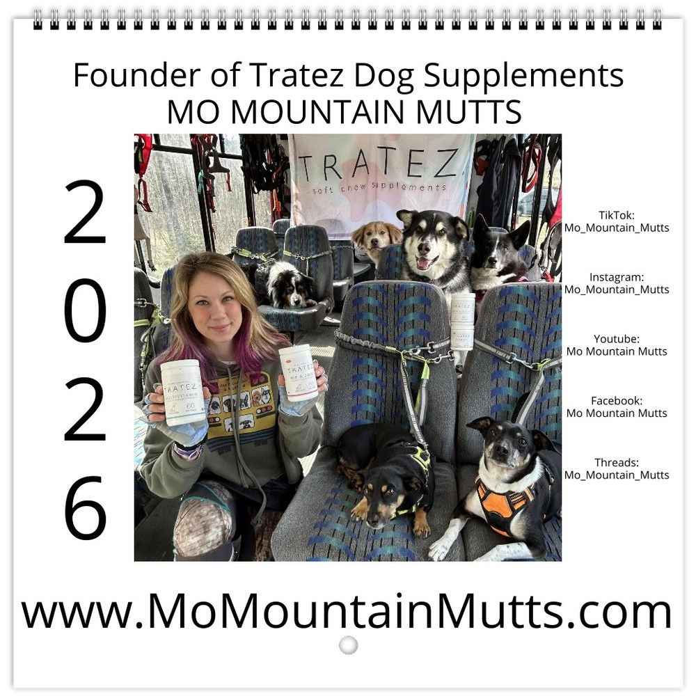 2026 Mo Mountain Mutt Calendar