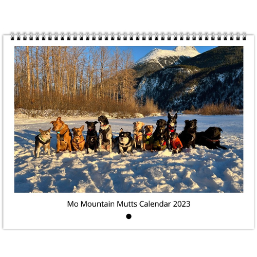 Mo Mountain Mutt Calendar 2023 | Mo Mountain Mutts
