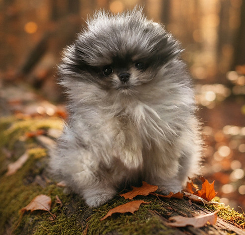 e9212b1c-6f8c-411d-b3df-c3584e9ad98d FIXED.jpg