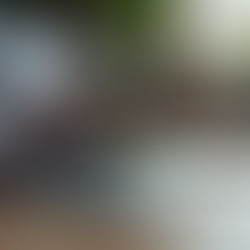 Navigating Intellectual Property Guidelines