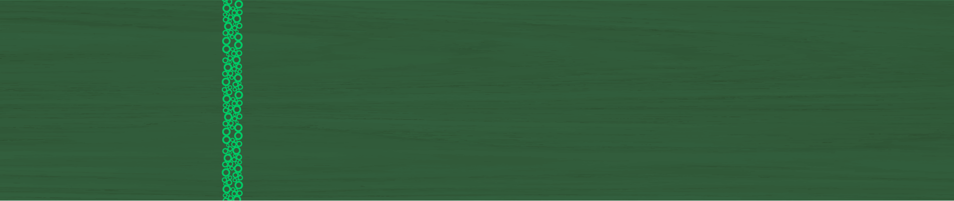 home_camping_viveiro-21.png