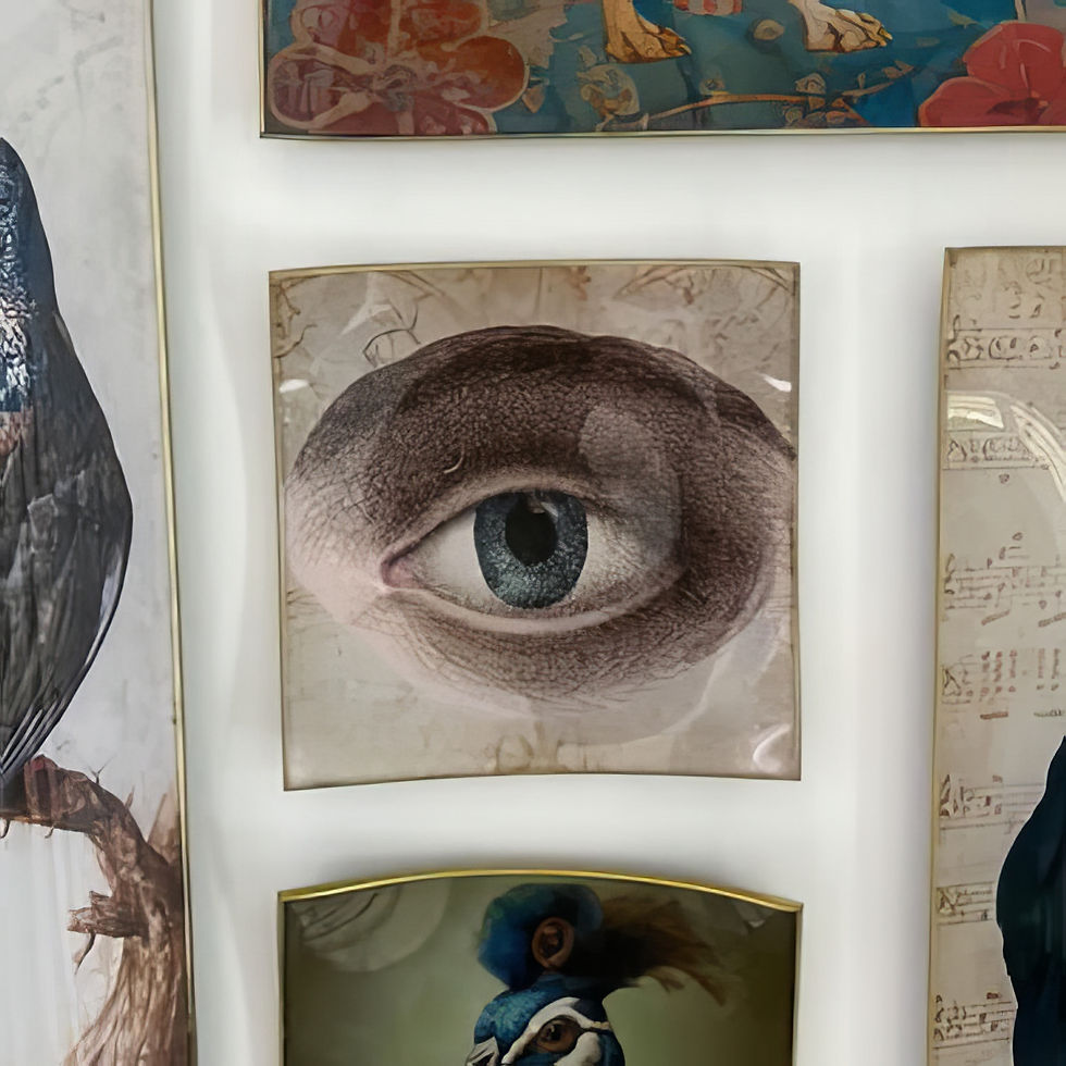 Handmade vintage eye glass tray with antique illustration