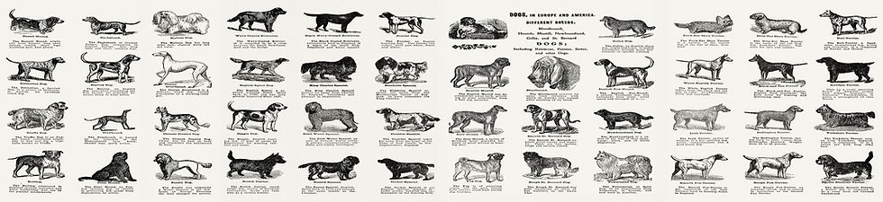 Thumbnail: Table/Floor Lampshade / Pendant Lampshade with Dog Breeds print LS302