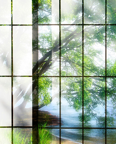 障子から透けて見える木々