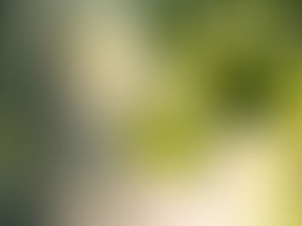 Two Wendys: The Power of What You Can Control