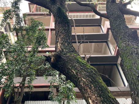 Apartment Building at Juhu shaping up