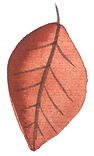 leaf_mauve.jpg