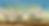 BlossomInWind-cropped-w-site.png