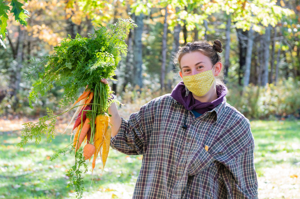 850_1371 Maeve Weeder Carrots Veggies to Table - Kelsey Kobik.jpeg