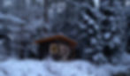 2021_studio_snow