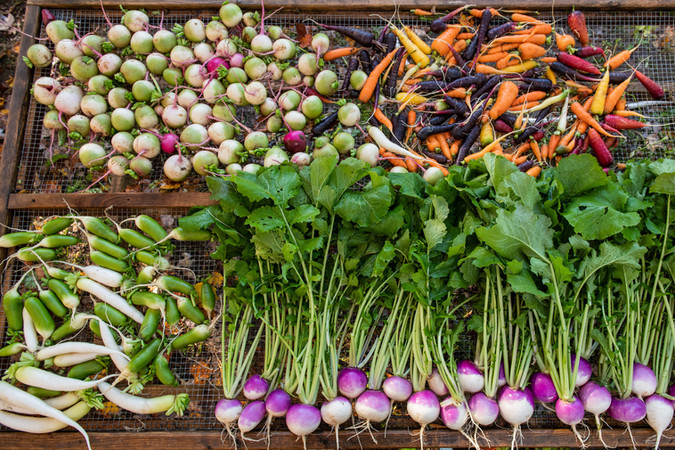 850_1167 Veggies to Table - Veggies - Kelsey Kobik.jpeg