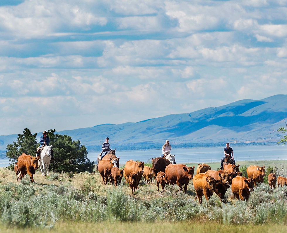 Hidden Hollow Hideaway, CREDIT, DUDE RANCHERS' ASSOCIATION 