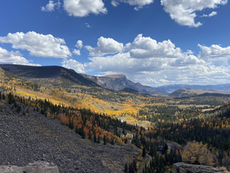 What Are You Missing by Sticking to the Popular Trails?