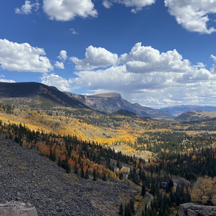 What Are You Missing by Sticking to the Popular Trails?