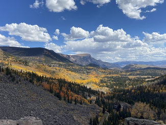 What Are You Missing by Sticking to the Popular Trails?