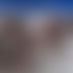 AZ's Petrified Forest