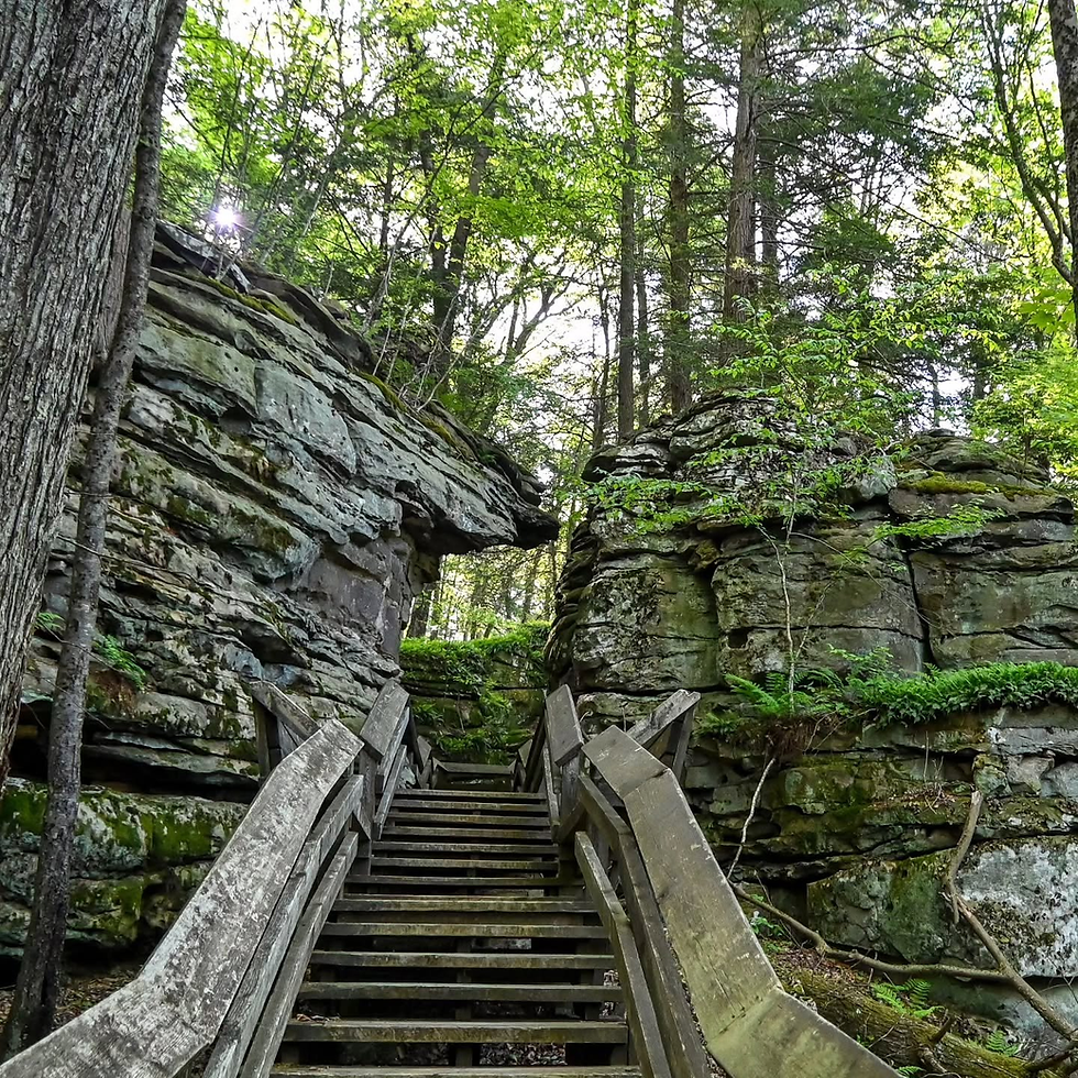 Upshur’s Big Little Getaway: Eat, Hike and Explore