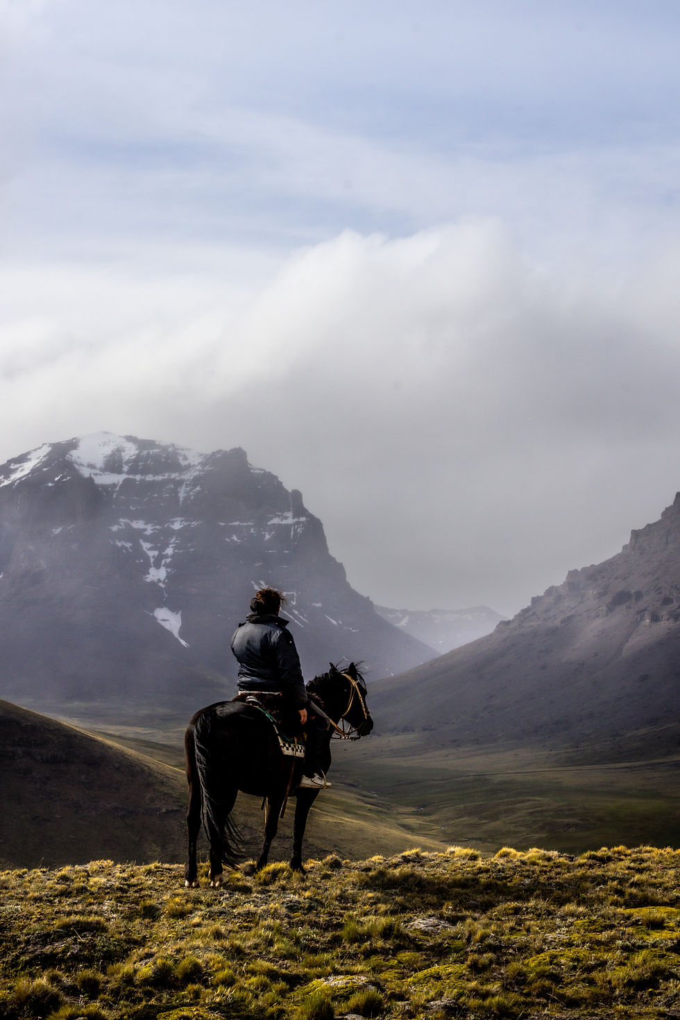 Photo courtesy of @Aleksxrx