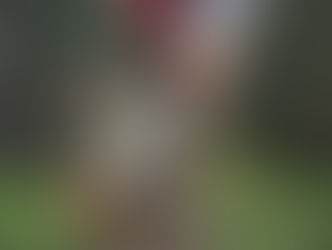 ... 2,650 Miles North: A Pacific Crest Trail (PCT) Reflection ...