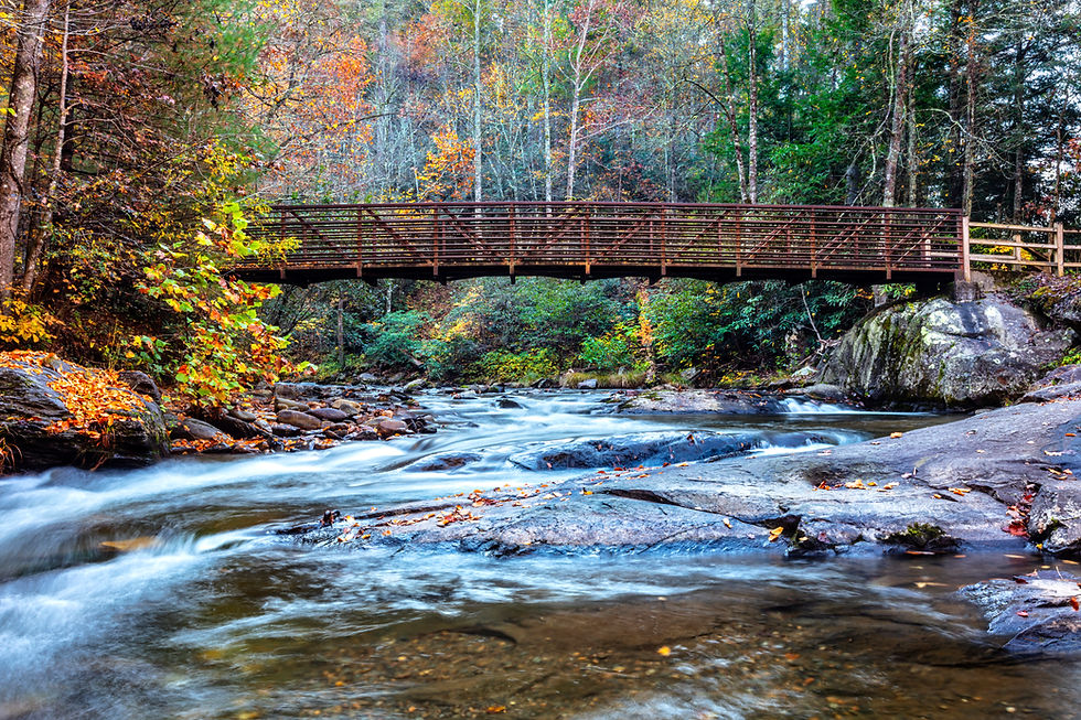 Crossing the Bridge at Fires Creek - Debra Vanderlaan