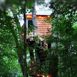 Airbnb's you didn't know existed, The Pop Top Treehouse