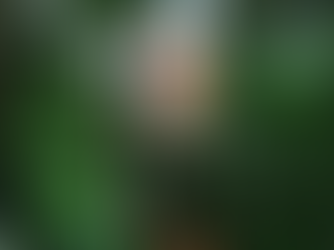 Airbnb's you didn't know existed, The Pop Top Treehouse 