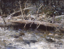 PONDEROSA LOGS, RIO HONDO