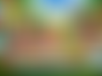 organizzare festa bambini con animazione