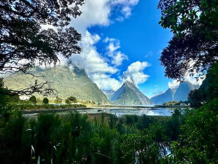 Why New Zealand Is a Nature