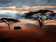 Tanzania Travel Tips