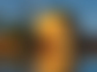 Things to Do in Marrakech