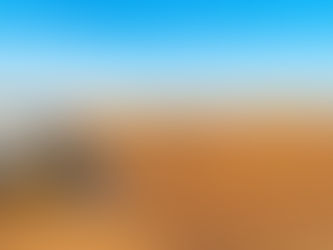 Best Desert Safari Options in Dubai