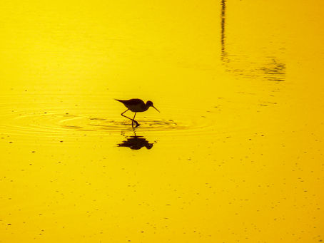 קלף 37 - קבלה