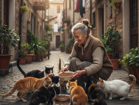 אדיבות, נדיבות ומה שביניהם