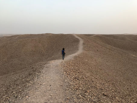 קלף 16- שביל החיים