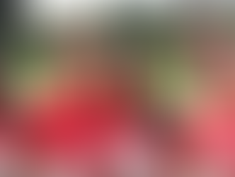 Como organizar uma panfletagem eficiente: Exemplo para todas empresas que precisam divulgar seus pro