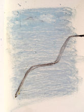 les oiseaux Ekaterina Aristova birds art paris