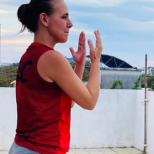 Online Kung Fu Program