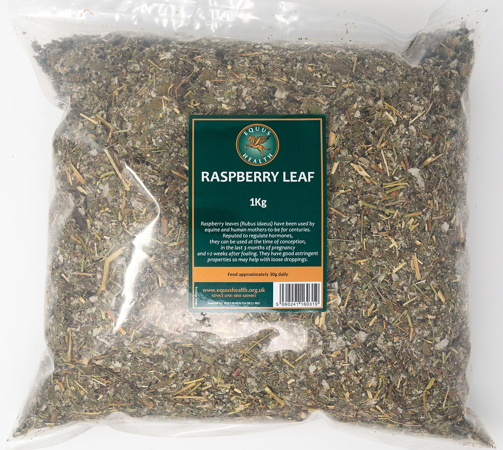 Equus Health Raspberry Leaf