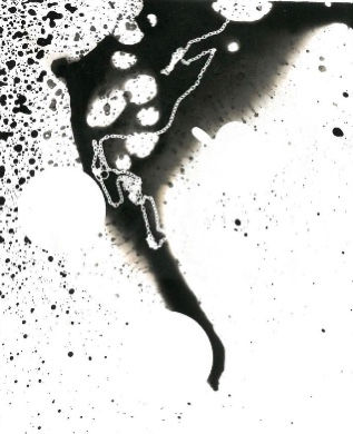 20230516_185315904_iOS