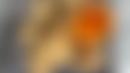 Biscuits aux amandes