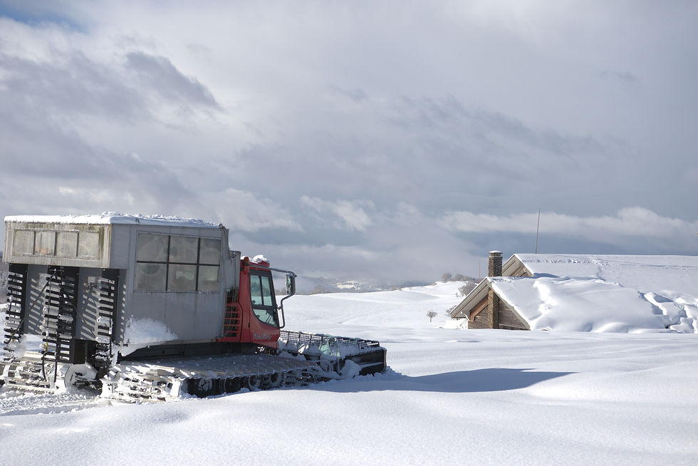 1 Day Tour -  1 Seat Available | FEB 3rd 2026     