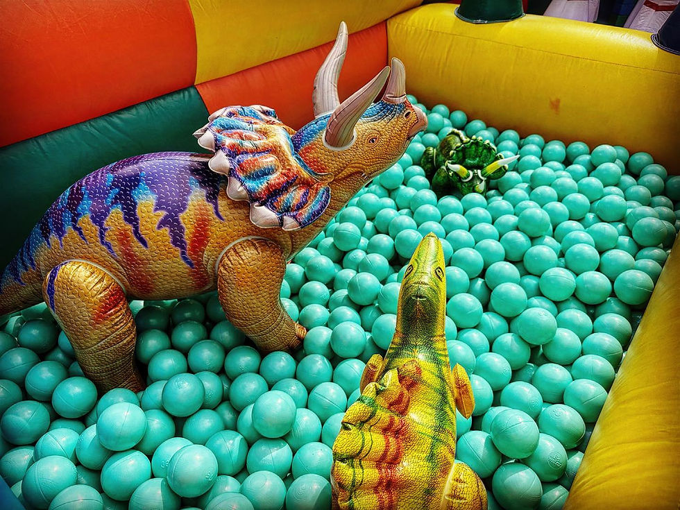 Thumbnail: Wally Jolly's Dinosaur Inflatable Play Park